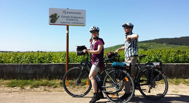 Cyclistes devant un champ de vigne