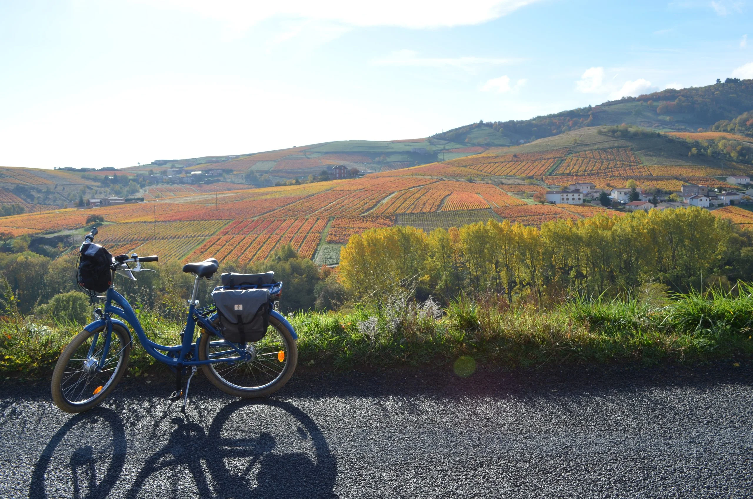 vélo devant les vignes en beaujolais